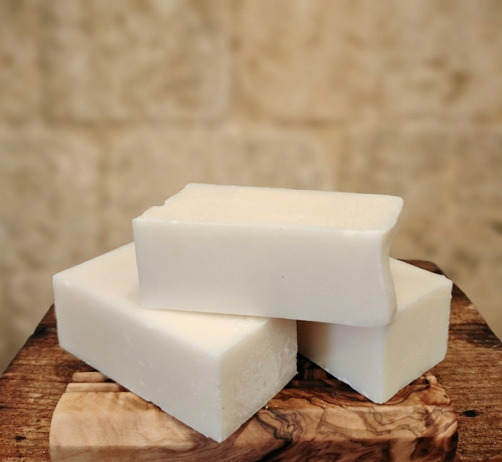 Champú Sólido Natural de Ricino y Árbol del Té Ecológico – Purificante y Equilibrante