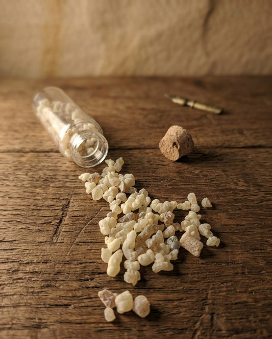 Incienso de Eritrea en Grano Natural | Para Quemar con Carbón